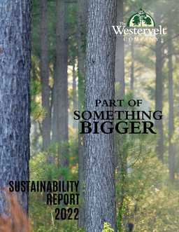 2022 Sustainability Report (1)