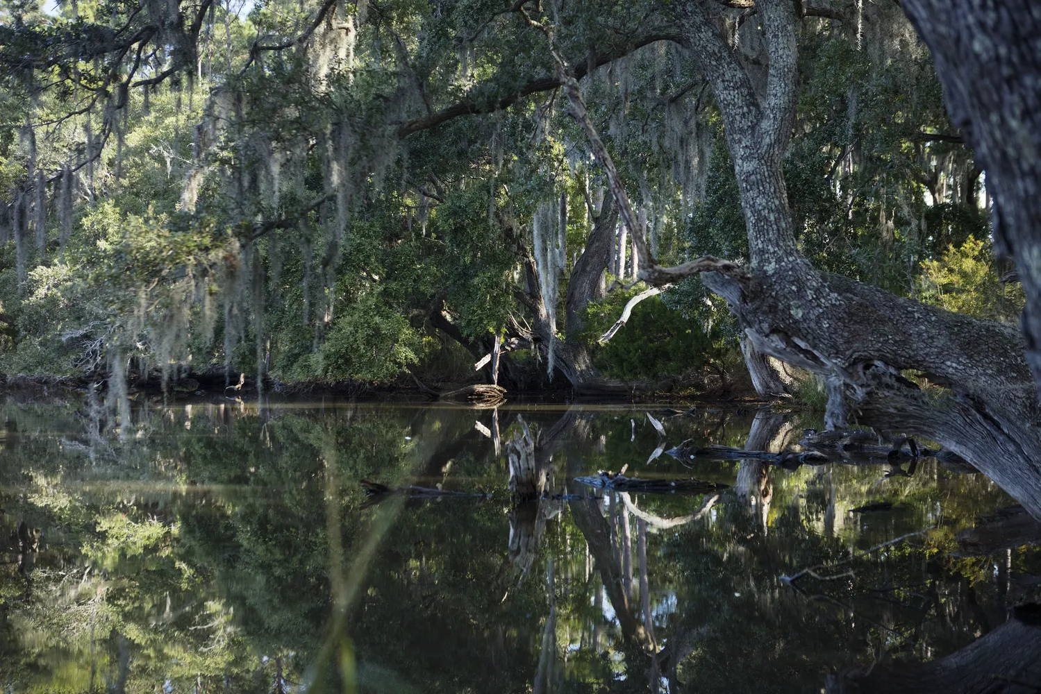 Point Farm Salt Marsh Mitigation Bank - WES